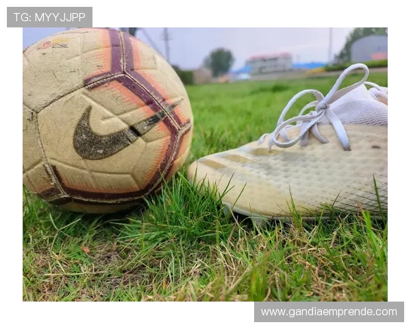 球速体育运动装备选择指南提升运动表现的必备装备推荐