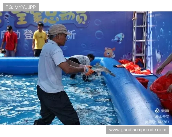 博鱼达人比赛策略分析助你制定科学合理的比赛计划