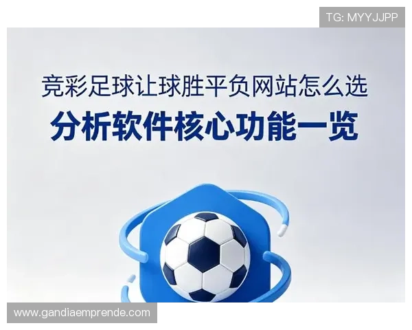 国内能买球的网站推荐，分析不同平台的赔率和服务质量