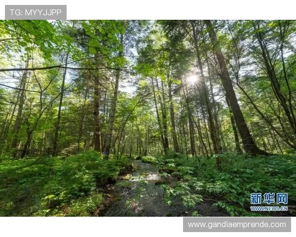 利用江苏省体育场馆协会爱企查平台实现体育场馆企业数据的快速查询与行业动态掌握 利用江苏省体育场馆协会爱企查平台实现体育场馆企业数据的快速查询与行业动态掌握